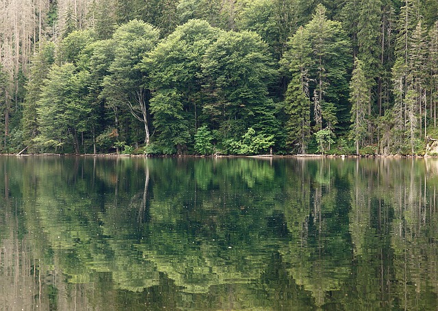 Šumavou vlakem, na kole i pěšky